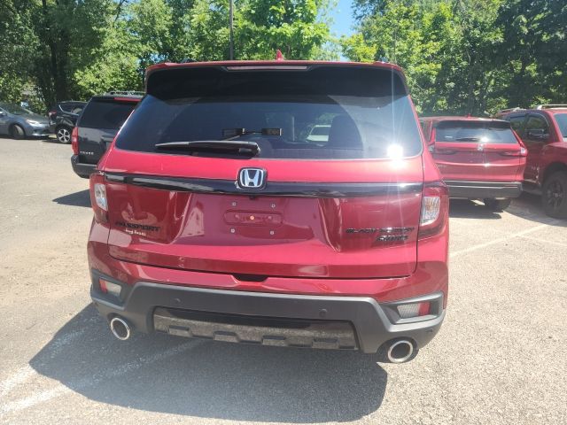 2024 Honda Passport Black Edition - Photo 7