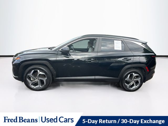 Used 2024 Hyundai Tucson SEL SUV