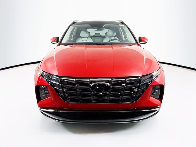 2023 Hyundai Tucson Limited photo 2
