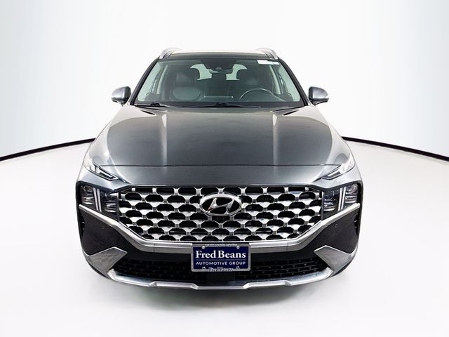 2023 Hyundai Santa Fe Limited photo 2