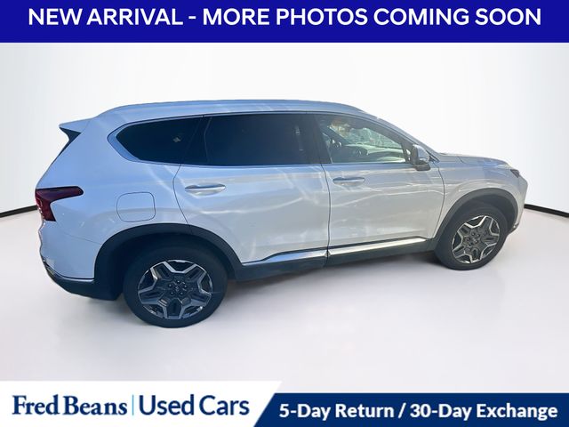 2023 Hyundai Santa Fe SEL Convenience photo 2