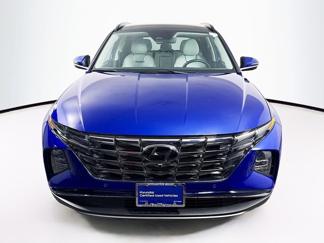 2024 Hyundai Tucson Limited photo 2