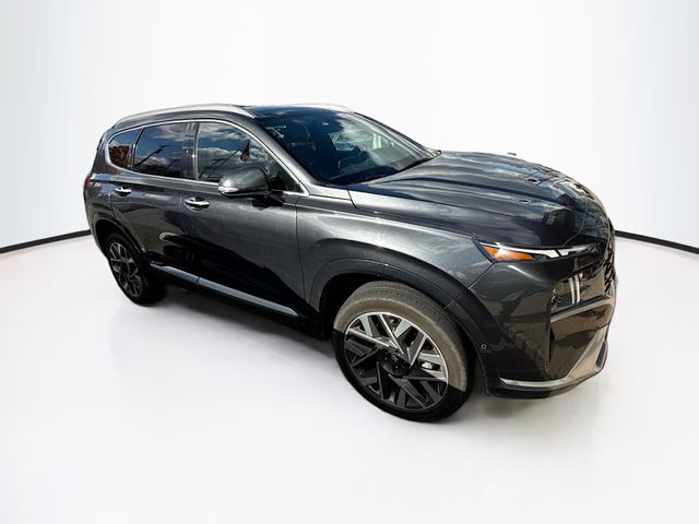2023 Hyundai Santa Fe Calligraphy photo 3