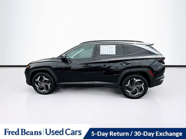 2024 Hyundai Tucson Hybrid Limited photo 2