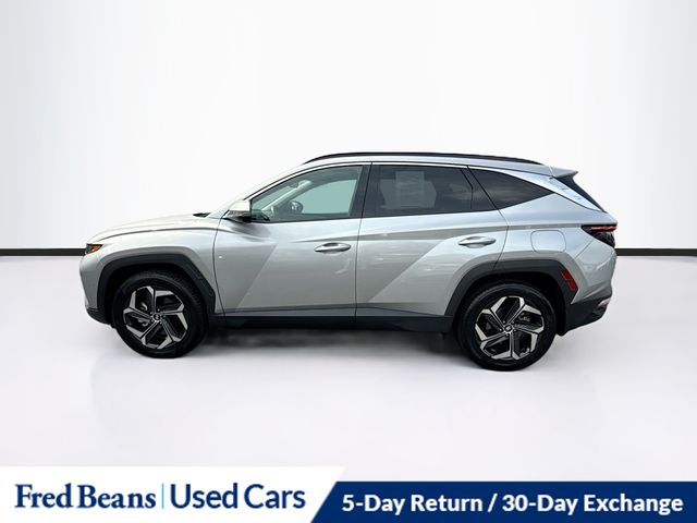 2023 Hyundai Tucson Hybrid Limited photo 4