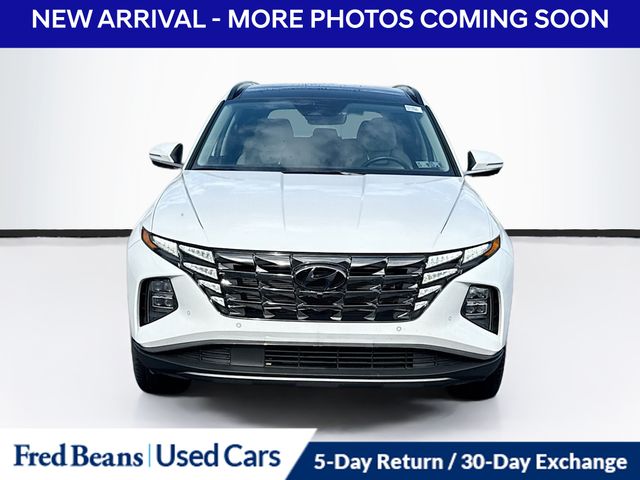 2023 Hyundai Tucson Limited photo 2