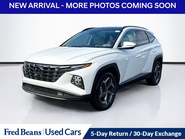 2023 Hyundai Tucson Limited photo 3