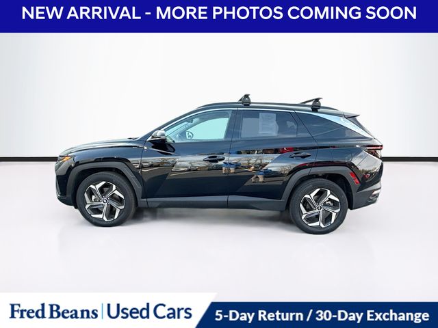 2024 Hyundai Tucson Limited photo 4