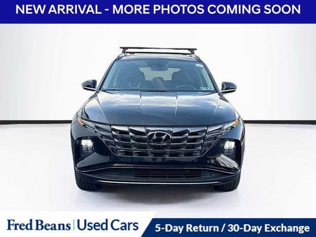 2024 Hyundai Tucson Limited photo 2
