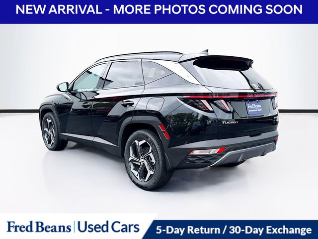 2024 Hyundai Tucson Hybrid Limited photo 3
