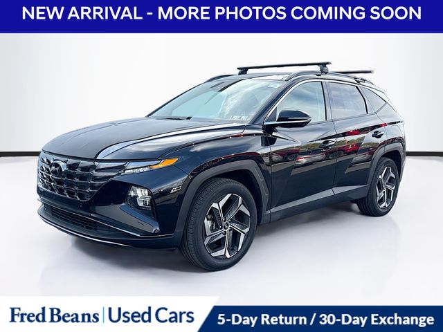 2024 Hyundai Tucson Limited photo 3