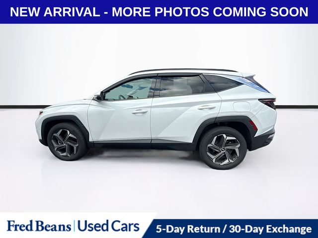 2022 Hyundai Tucson Limited photo 4