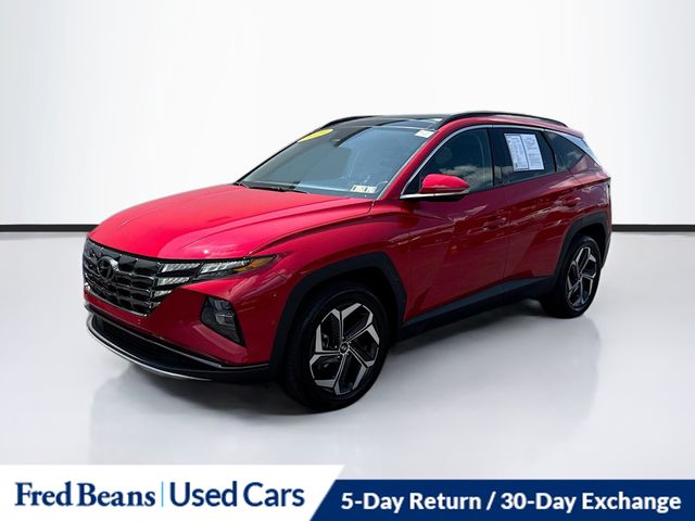 2023 Hyundai Tucson Limited photo 3