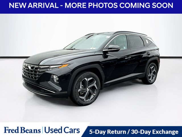 2024 Hyundai Tucson Hybrid Limited photo 3