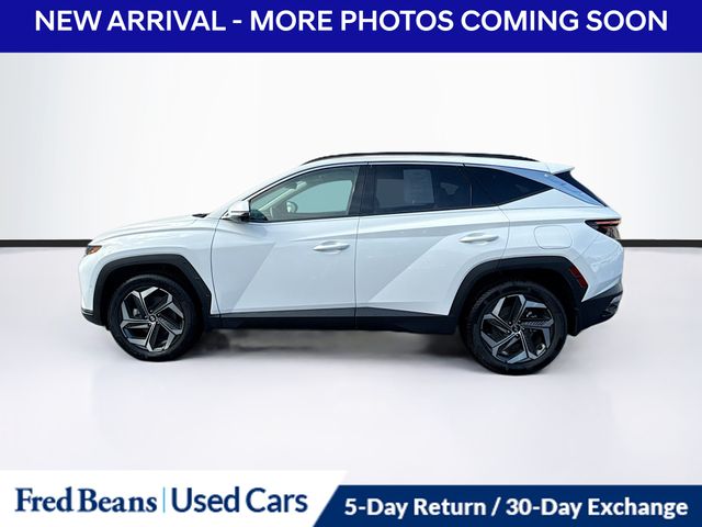2023 Hyundai Tucson Limited photo 4