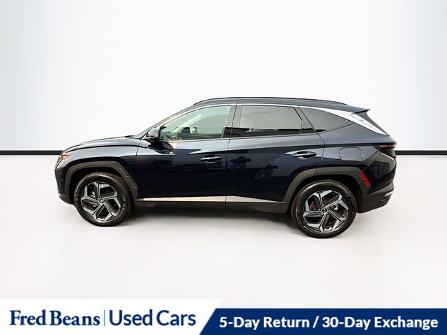 2024 Hyundai Tucson Plug-in Hybrid Limited photo 2