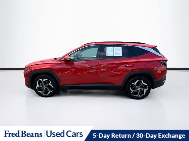 2023 Hyundai Tucson Limited photo 4