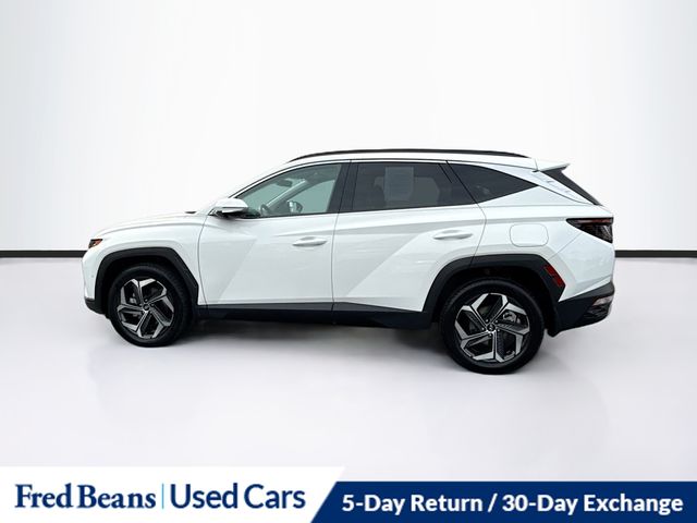 2023 Hyundai Tucson Limited photo 2