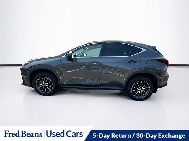 2022 Lexus NX 350 photo 2