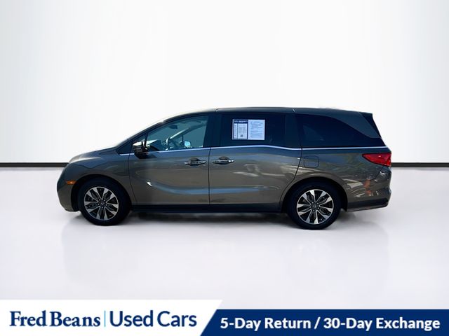 2023 Honda Odyssey EX-L photo 4