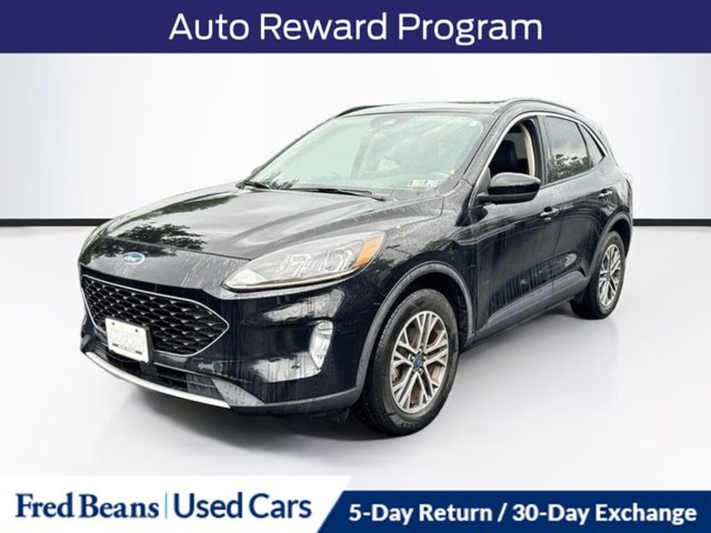 Used 2020 Ford Escape SEL SUV
