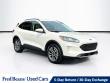 Used 2022 Ford Escape SEL SUV