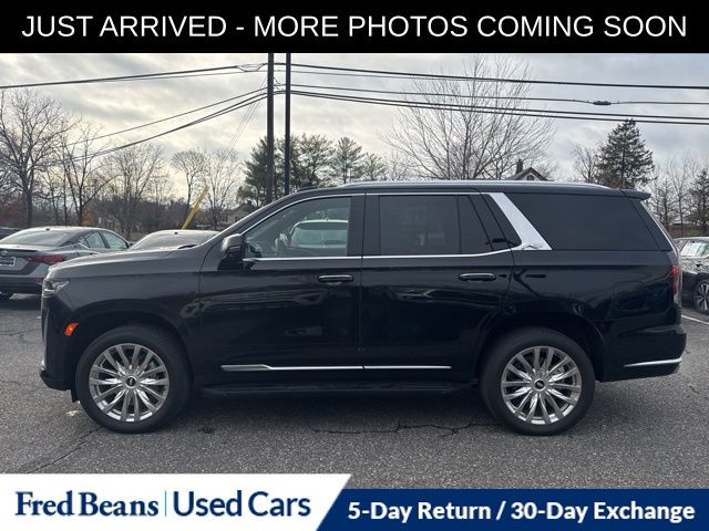 2024 Cadillac Escalade Premium Luxury photo 4