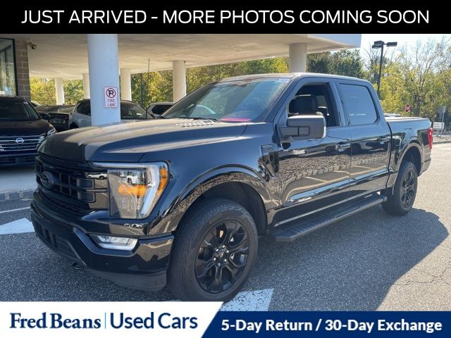 2023 Ford F-150 XLT photo 3