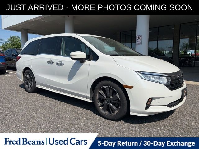 2023 Honda Odyssey Elite's photo