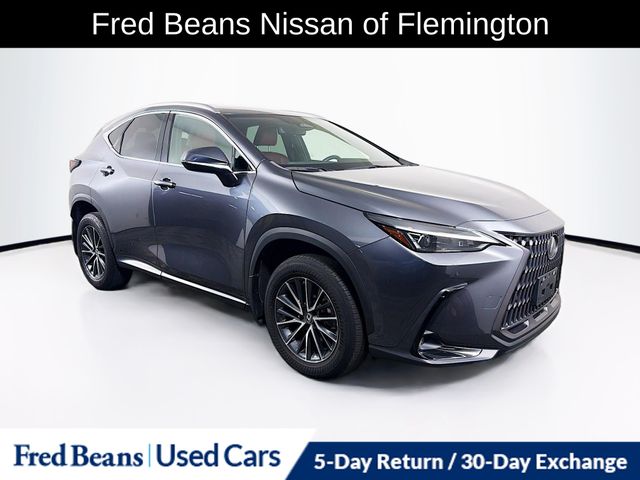 2023 Lexus NX