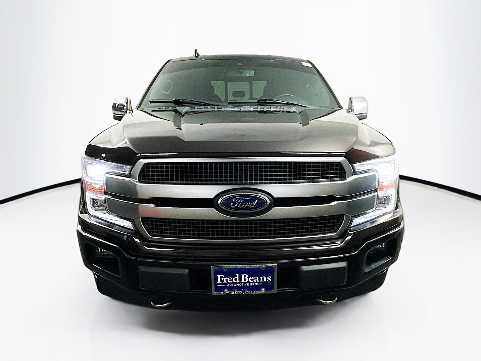 Used 2019 Ford F-150 Platinum with VIN 1FTEW1E45KFC10308 for sale in Flemington, NJ