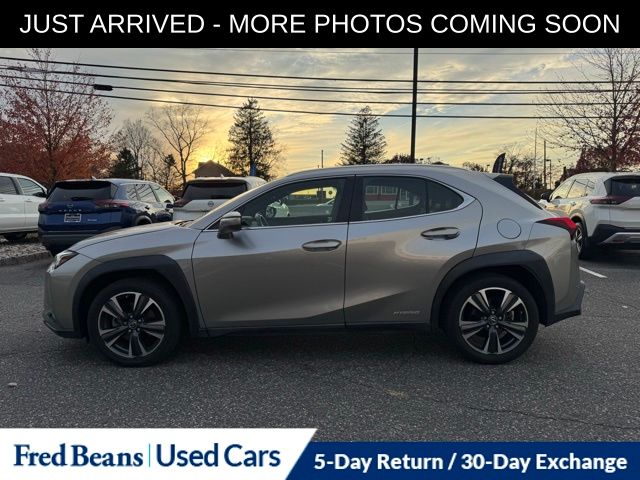 2021 Lexus UX 250h photo 4