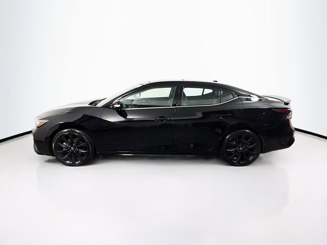 2023 Nissan Maxima SR photo 4