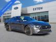 Certified 2019 Ford Mustang GT Premium Coupe