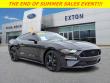 Certified 2023 Ford Mustang GT Premium Fastback Coupe
