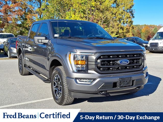 2023 Ford F-150 XLT photo 2