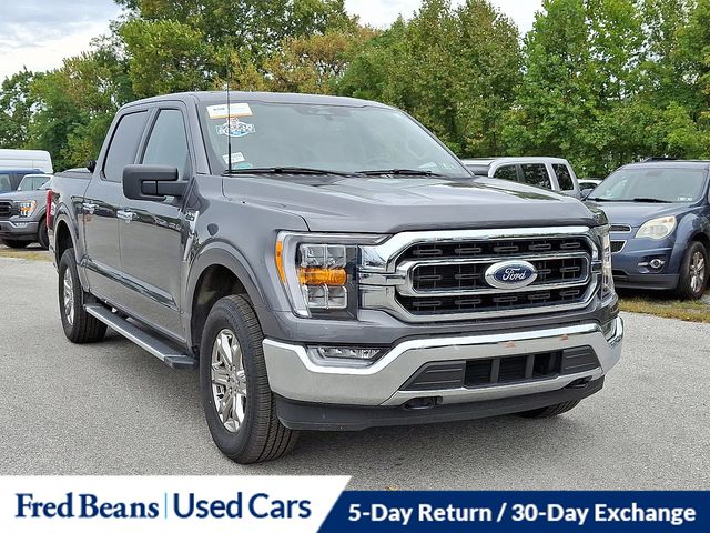 2023 Ford F-150 XLT photo 2
