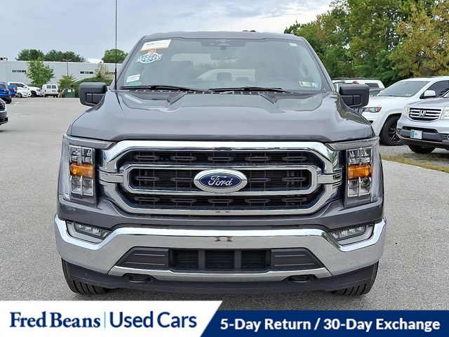 2023 Ford F-150 XLT photo 3