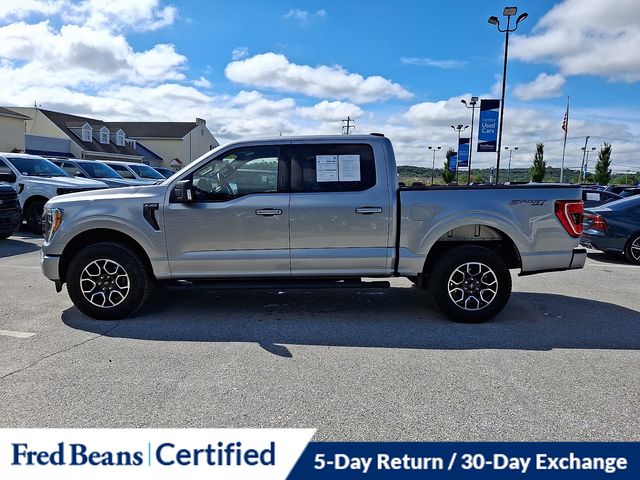 2023 Ford F-150 XLT - Photo 7