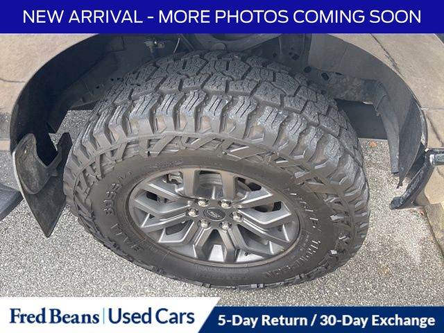 2021 Ford F-150 Tremor photo 2