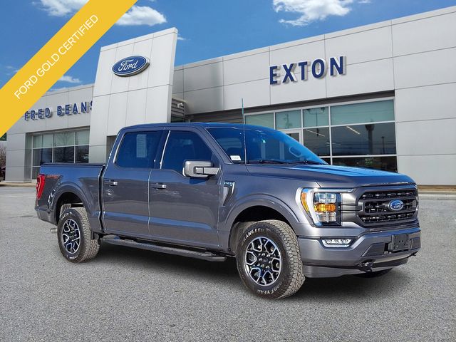2023 Ford F-150 XLT's photo