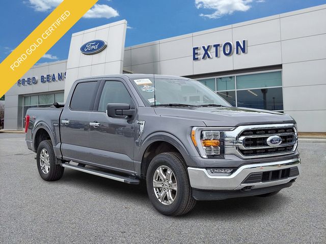 2023 Ford F-150 XLT's photo