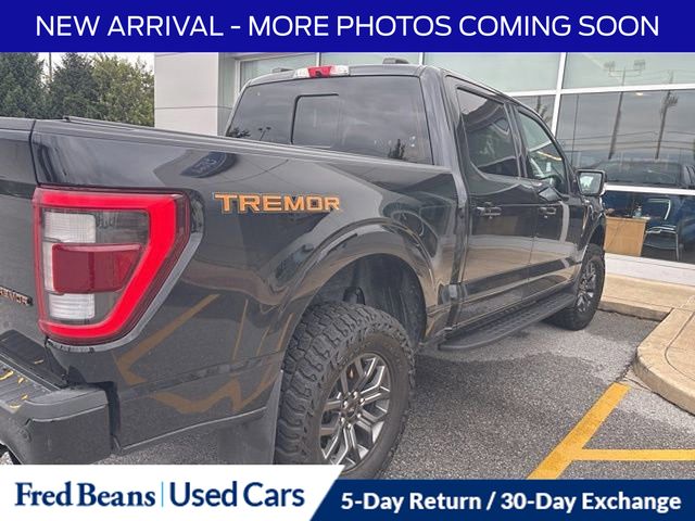 2021 Ford F-150 Tremor photo 4