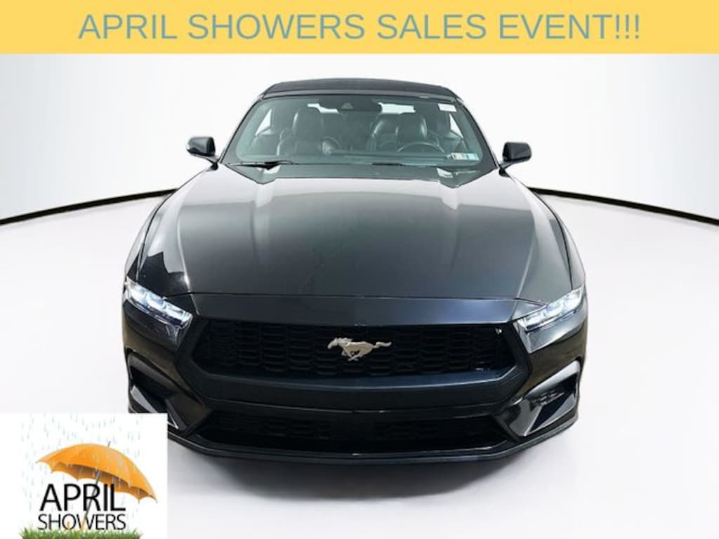 Used 2024 Ford Mustang Ecoboost Premium Convertible