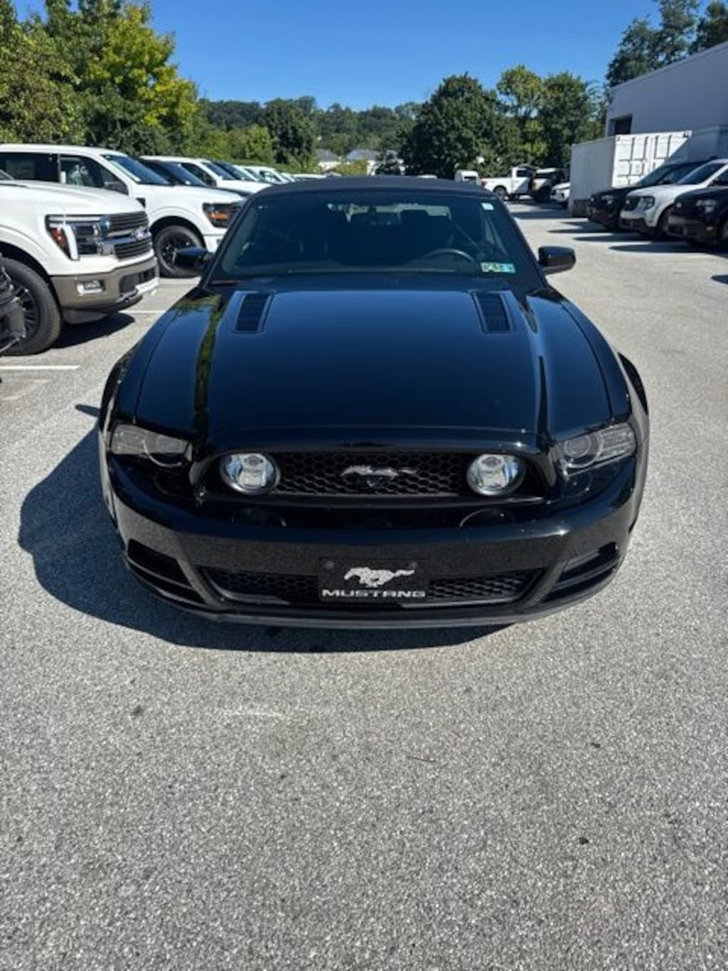 Used 2014 Ford Mustang GT Convertible