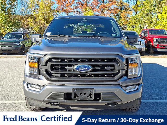 2023 Ford F-150 XLT photo 3