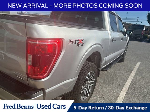 2023 Ford F-150 XL photo 4