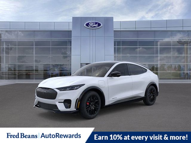 2025 Ford Mustang Mach-E Premium AWD's photo
