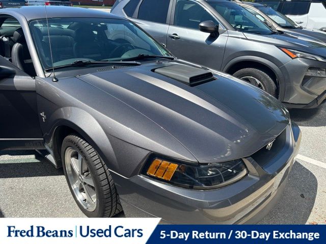 2003 Ford Mustang Mach 1's photo
