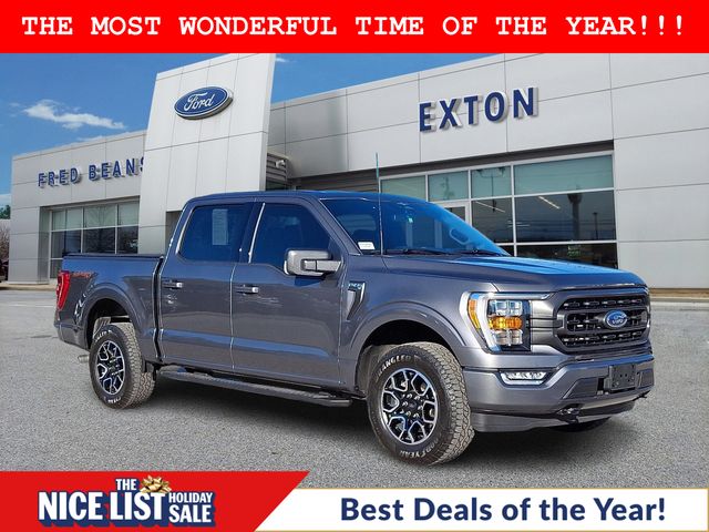 2023 Ford F-150 XLT's photo